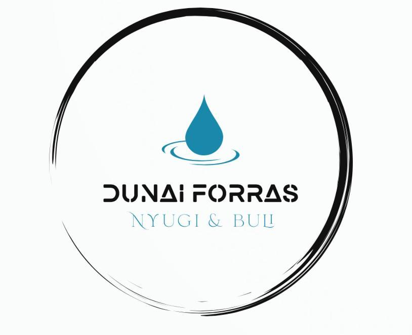 הוילה Dunaegyhaza Forras Vendeghaz מראה חיצוני תמונה